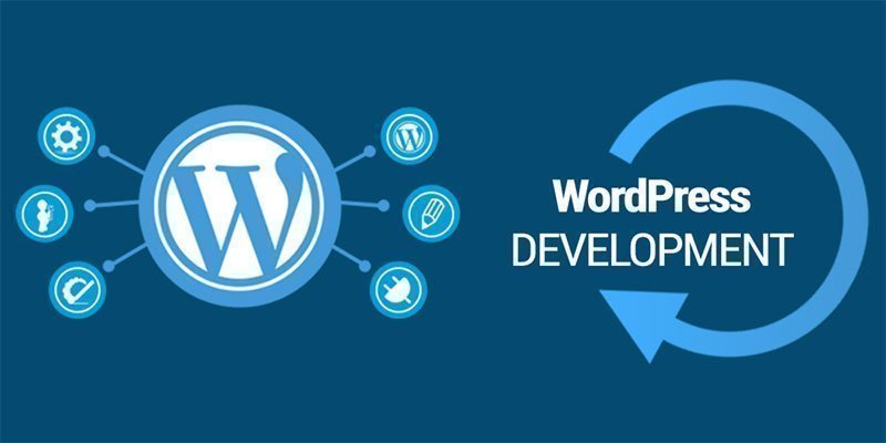 Best WordPress Development and Design in Egypt 2 CodeShip